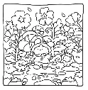 Hidden Garden_p9(pdfgear.com).webp