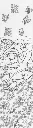 صورة24.webp