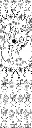 صورة17.webp