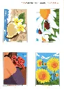 Fleurs 2_Delete_p6(pdfgear.com).webp