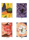 Fleurs 2_Delete_p9(pdfgear.com).webp