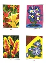 Fleurs 2_Delete_p8(pdfgear.com).webp