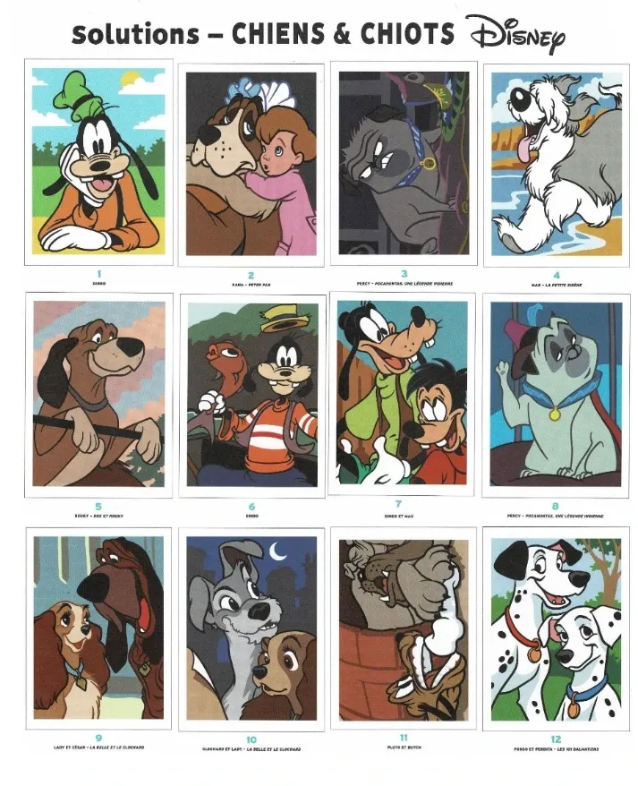 chiots & chiens 2020_p5(pdfgear.com).webp