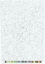 LA PETITE SIRÈNE 2025_p2(pdfgear.com).webp
