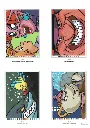 Les Grandes Clásicos 2 - 2016_p8(pdfgear.com).webp