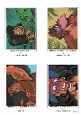 Les Grandes Clásicos 2 - 2016_p10(pdfgear.com).webp