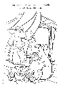 Ratatatouille little chef_p4(pdfgear.com).webp