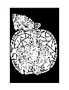 Vitrales_p3(pdfgear.com).webp