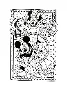 Vitrales_p10(pdfgear.com).webp