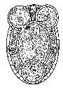 Vitraux 2_p3(pdfgear.com).webp