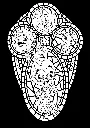Vitraux 2_p6(pdfgear.com).webp