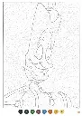 trompe l'œil 2018_Delete_p5(pdfgear.com).webp