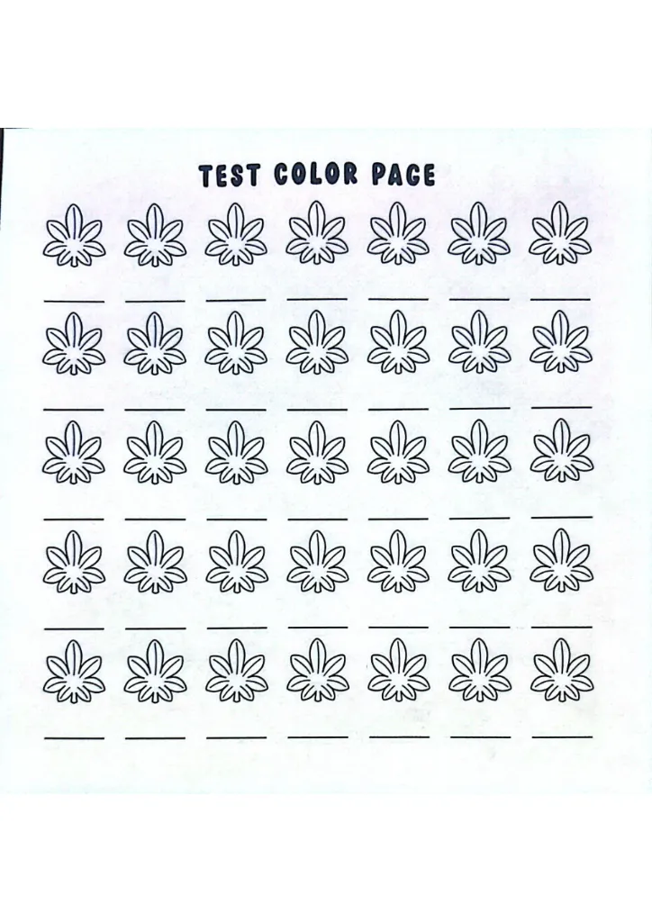 Blaze & Color_p5(pdfgear.com).webp