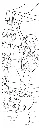 صورة18.webp