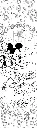 صورة23.webp