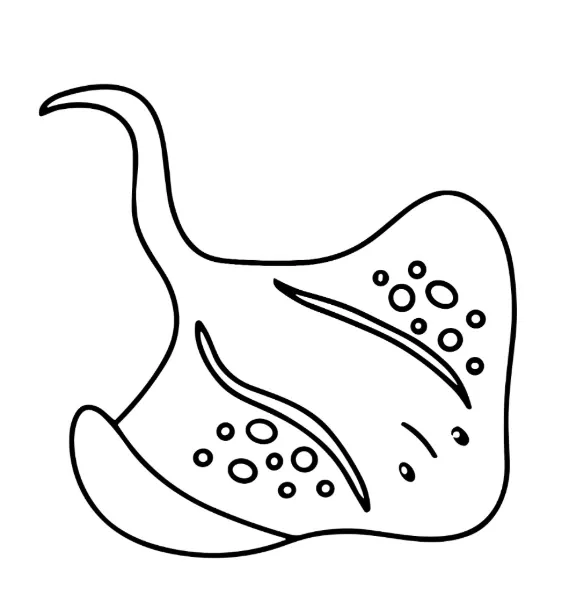 OCEAN OASIS_p7(pdfgear.com).webp