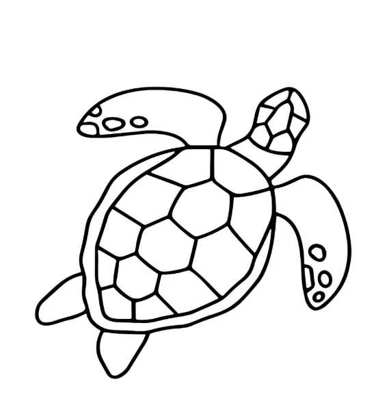 OCEAN OASIS_p4(pdfgear.com).webp