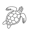 OCEAN OASIS_p4(pdfgear.com).webp