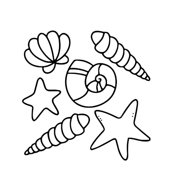 OCEAN OASIS_p5(pdfgear.com).webp
