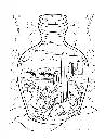 Life Inside Jar_p7(pdfgear.com).webp
