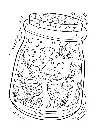 Life Inside Jar_p5(pdfgear.com).webp