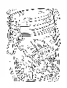 Life Inside Jar_p6(pdfgear.com).webp
