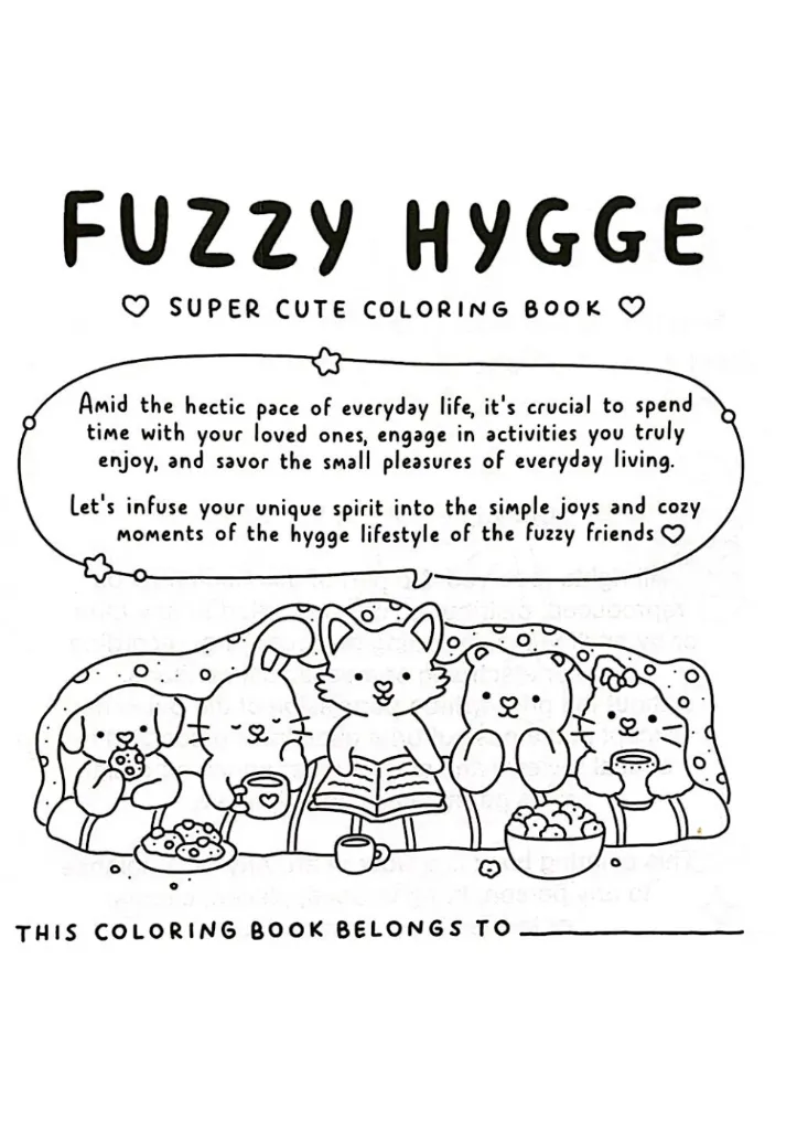 Fuzzy Hygge_p2(pdfgear.com).webp