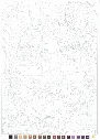 Screenshot 2026-06-19 010626.webp