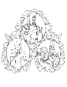 Artefactos Mágicos - Harry Potter_Delete_p5(pdfgear.com).webp