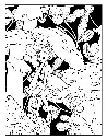 The Magic Garden_p6(pdfgear.com).webp