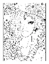 Green Witches_p4(pdfgear.com).webp