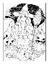 Green Witches_p5(pdfgear.com).webp
