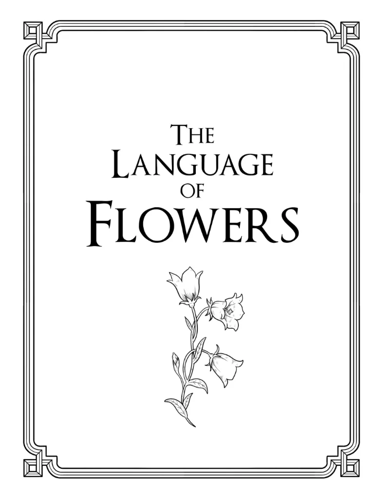 The Language of Flowers_p2(pdfgear.com).webp