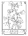 The Language of Flowers_p6(pdfgear.com).webp