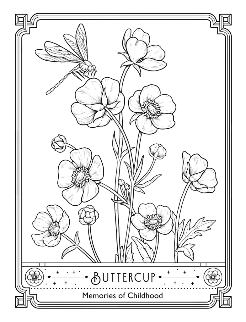 The Language of Flowers_p7(pdfgear.com).webp