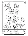 The Language of Flowers_p7(pdfgear.com).webp