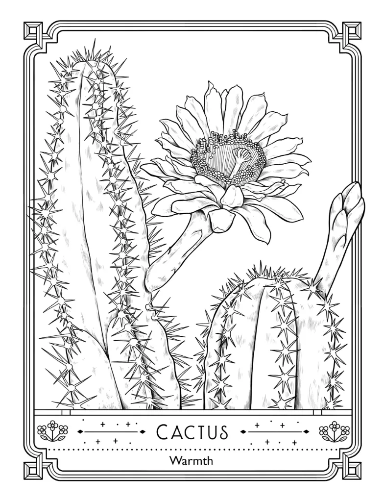 The Language of Flowers_p8(pdfgear.com).webp