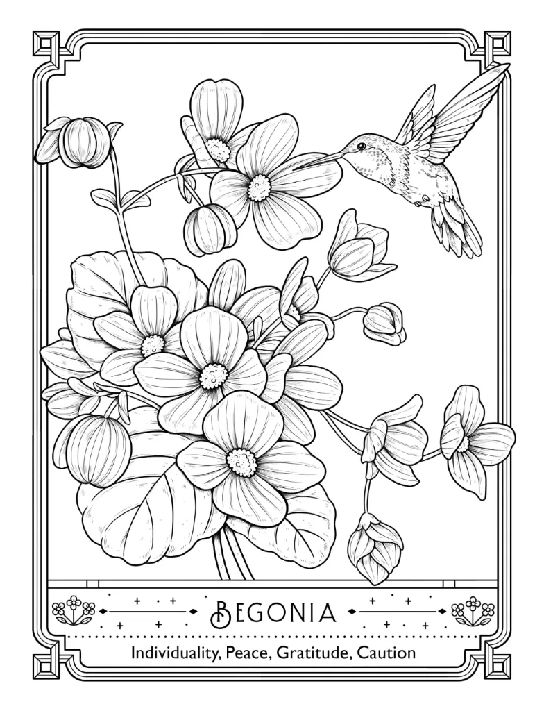 The Language of Flowers_p5(pdfgear.com).webp