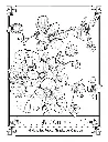 The Language of Flowers_p5(pdfgear.com).webp