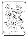 The Language of Flowers_p4(pdfgear.com).webp