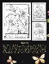 The Language of Flowers_p9(pdfgear.com).webp