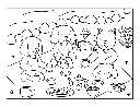 PAW PRINTS_p4(pdfgear.com).webp