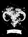 Zodiac_p4(pdfgear.com).webp