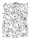KAWAII TOWN_p12(pdfgear.com).webp