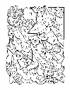 KAWAII TOWN_p14(pdfgear.com).webp