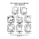 Browmies_p4(pdfgear.com).webp