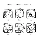 Browmies_p5(pdfgear.com).webp