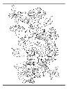 Mushroom_p7(pdfgear.com).webp
