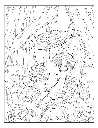 Mushroom_p5(pdfgear.com).webp