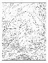 Mushroom_p4(pdfgear.com).webp